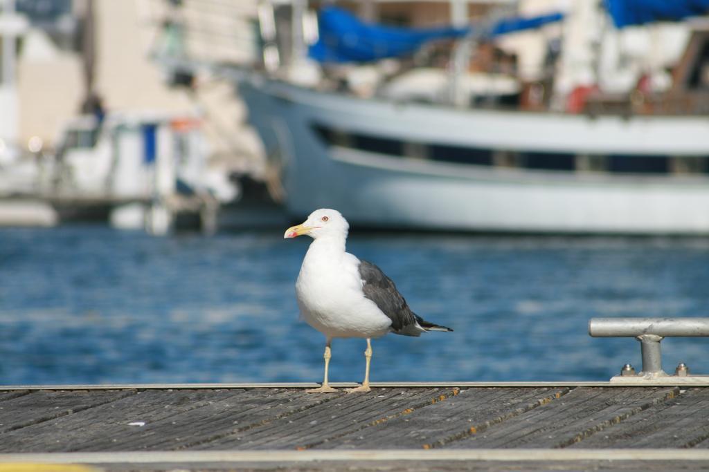 Apartment Marina De -